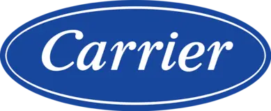 Carrier